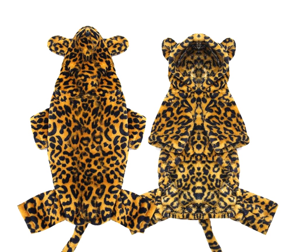 CLEARANCE - Sausage Dog Box Dachshund Cheetah Outfit