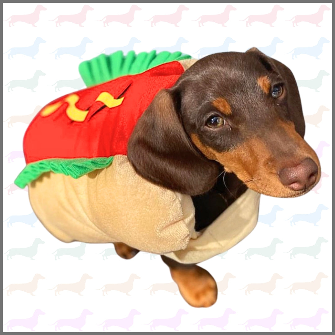 Sausage Dog Box Hot Dog Dress Up Outfit