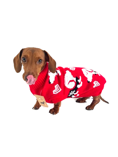 Sausage Dog Box Dachshund Red Dachshund Dog Jumper - Sausage Love