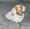 Load image into Gallery viewer, Silvery Grey Dachshund Snuggle Fleece - Sausage Dog Box Jumper
