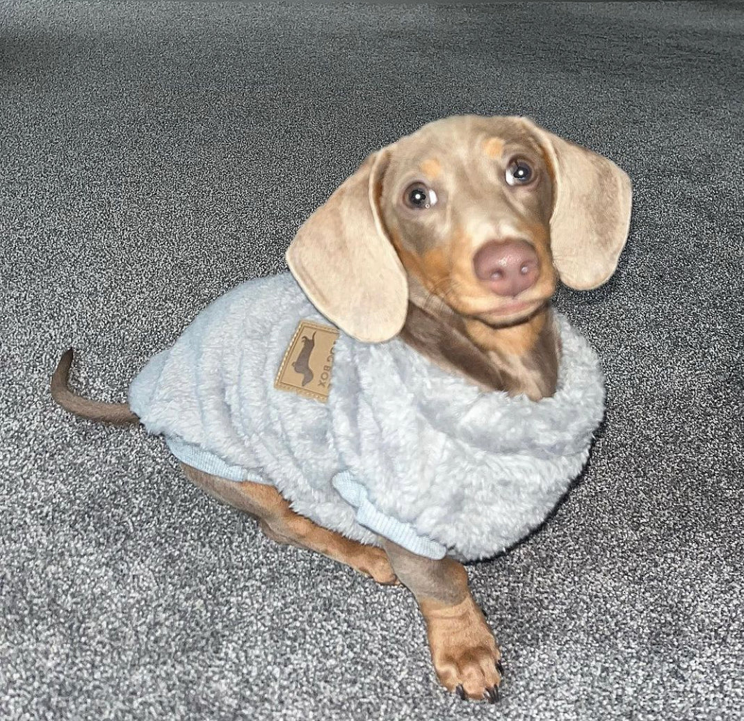 Silvery Grey Dachshund Snuggle Fleece - Sausage Dog Box Jumper