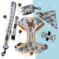 Load image into Gallery viewer, Bandana - Up Up & Away
