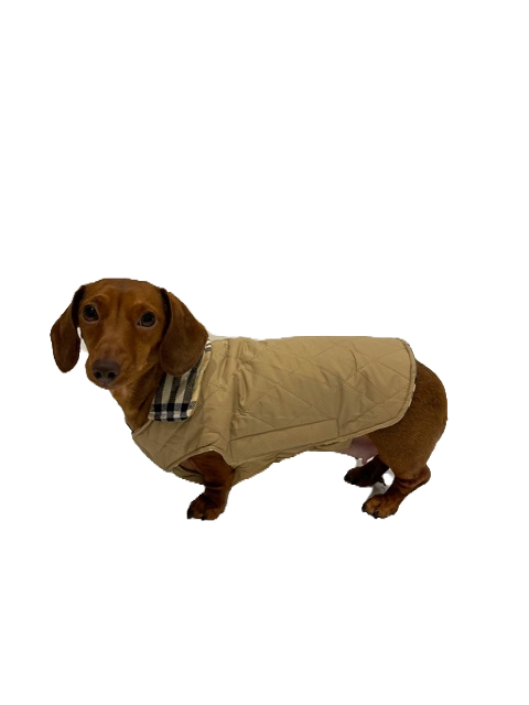 Sausage Dog Box Dachshund Reversible Plaid Coat Beige