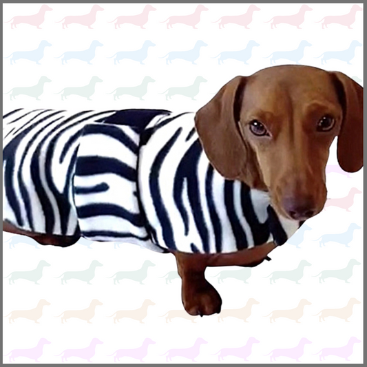 Sausage Dog Box Designer Fleece Waterproof 'Zebra' Dachshund Coat