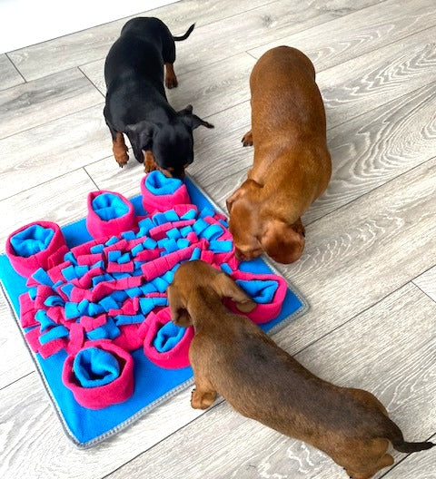 Sausage Dog Box Square Snuffle Mat