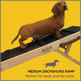 Load image into Gallery viewer, Sausage Dog Box Dachshund Ramp - High Sofa or Bed Wooden Daxie Ramp
