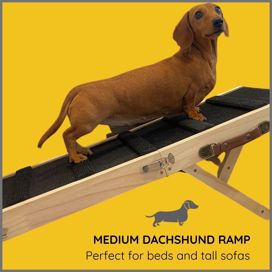 Sausage Dog Box Dachshund Ramp - High Sofa or Bed Wooden Daxie Ramp
