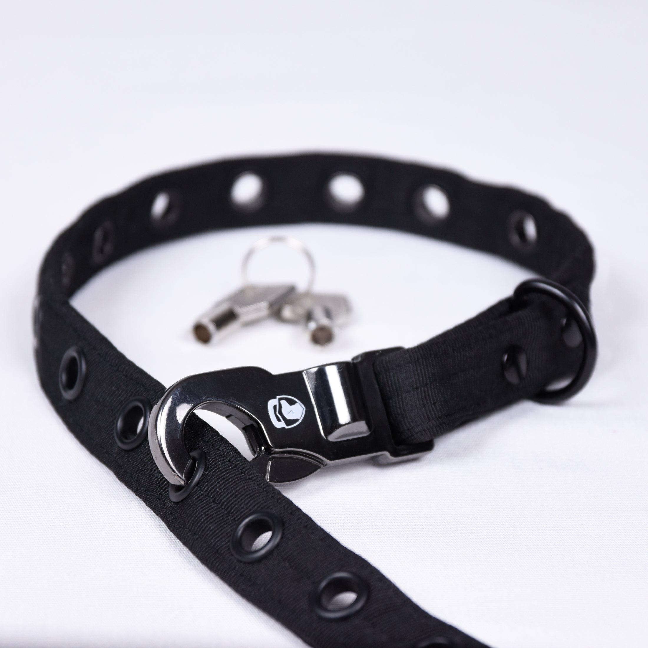 Anti Theft Lock Dog Lead And Collar