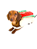 Load image into Gallery viewer, Sausage Dog Box Hot Dog Dress Up Outfit
