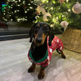 Load image into Gallery viewer, Santas Little Helper Dachshund Christmas PJ Onesie Outfit - Red
