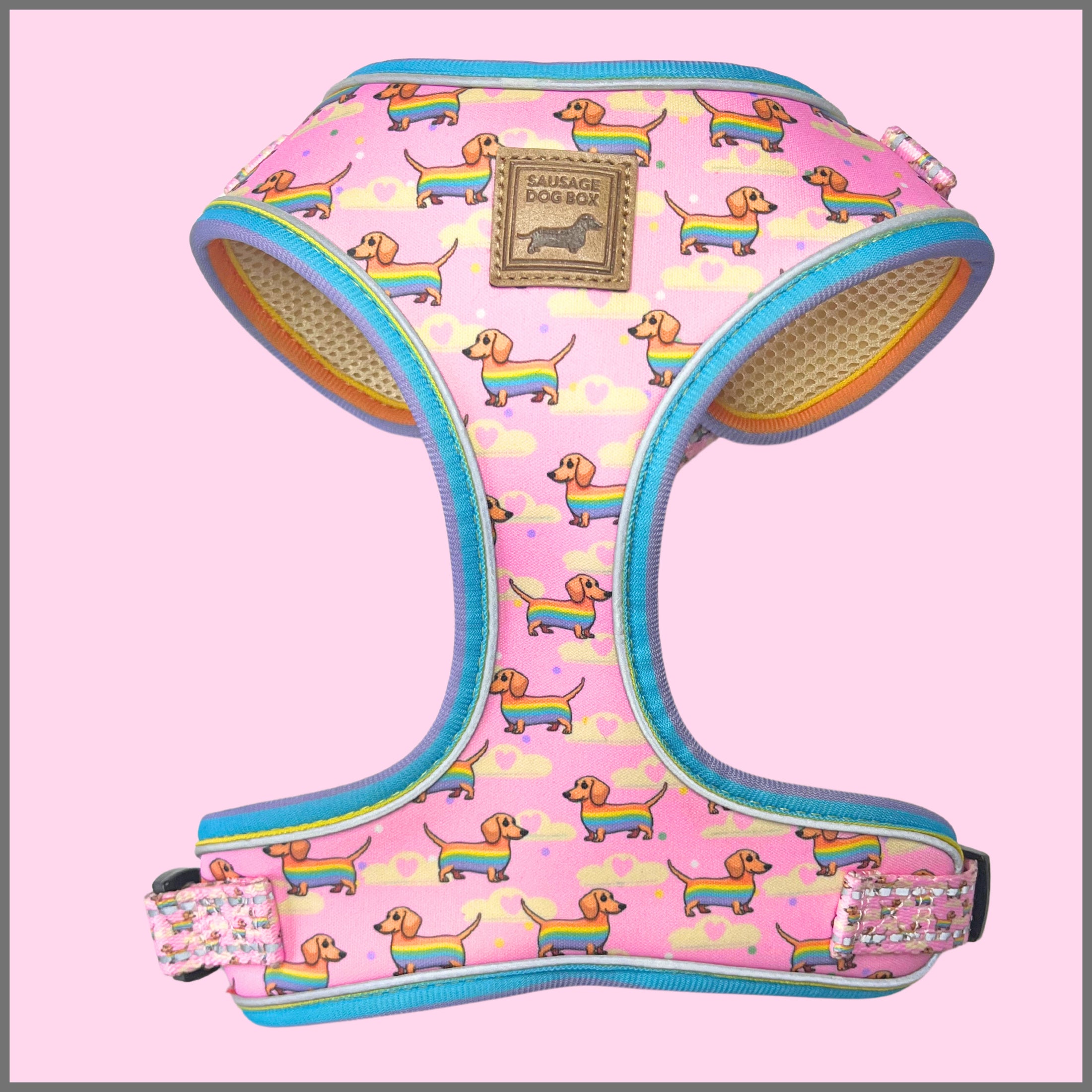 Anti-Rub Harness Designed For Dachshunds - Chasing Rainbows