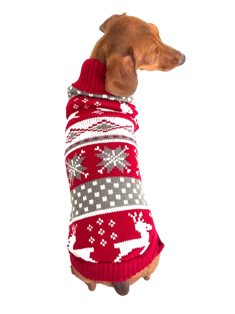Sausage Dog Box Dachshund Winter Print Jumper