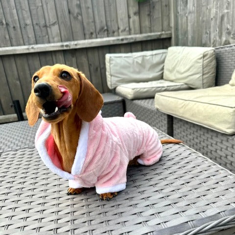 Sausage Dog Costume ‘Piggy’ Oneise Outfit