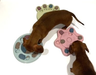 Sausage Dog Box Anxiety Round Treat Puzzle