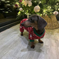 Load image into Gallery viewer, Santas Little Helper Dachshund Christmas PJ Onesie Outfit - Red
