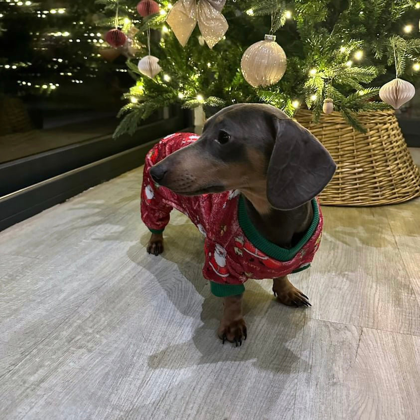 Santas Little Helper Dachshund Christmas PJ Onesie Outfit - Red