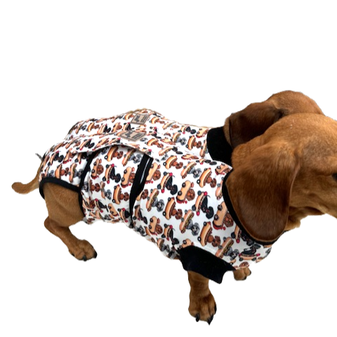 Antibacterial Dachshund Dog Surgery Suit | Sausage Dog Recovery / Allergy Outfit