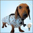 Load image into Gallery viewer, Blue Dachshund Coat 'Up Up and Away' Waterproof With PolarTec Fleece
