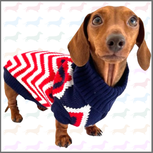 Sausage Dog Box Dachshund Jumper - Zig To The Zag