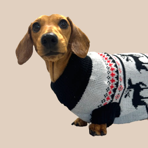 Grey Deer Grandpa Dachshund Sweater Jumper | Sausage Dog Box