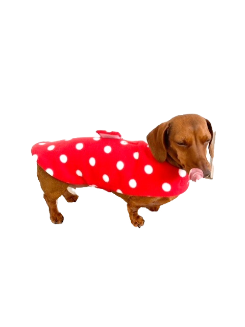 Sausage Dog Box Designer Red Polka Dot 'Minnie' Fleece Coat