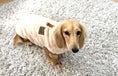 Load image into Gallery viewer, Butterscotch Beige Dachshund Snuggle Fleece - Sausage Dog Box Jumper
