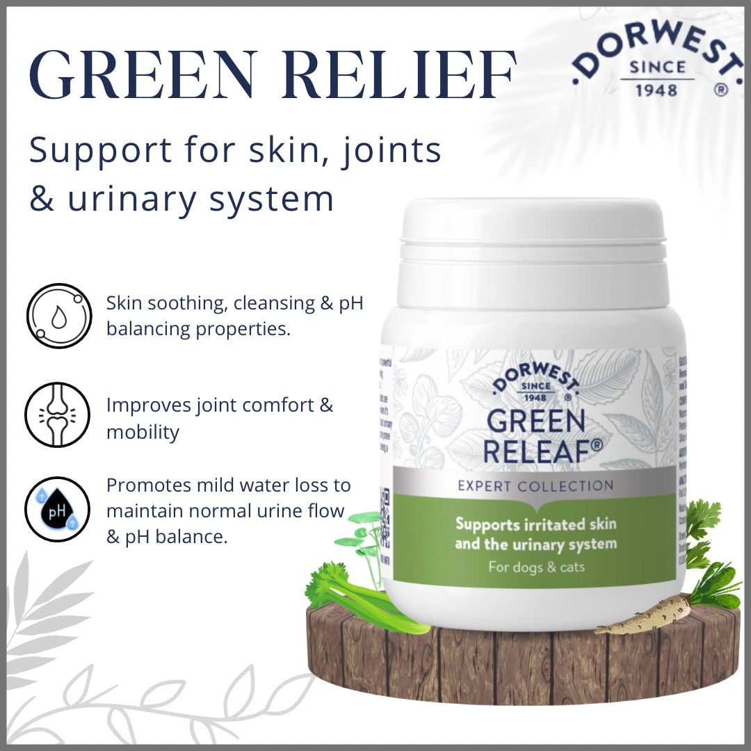 Dorwest Green Relief - Support for Dachshund’s Skin Joints & Urinary System
