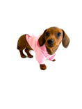 Load image into Gallery viewer, Sausage Dog Box Pink Dachshund Hoodie
