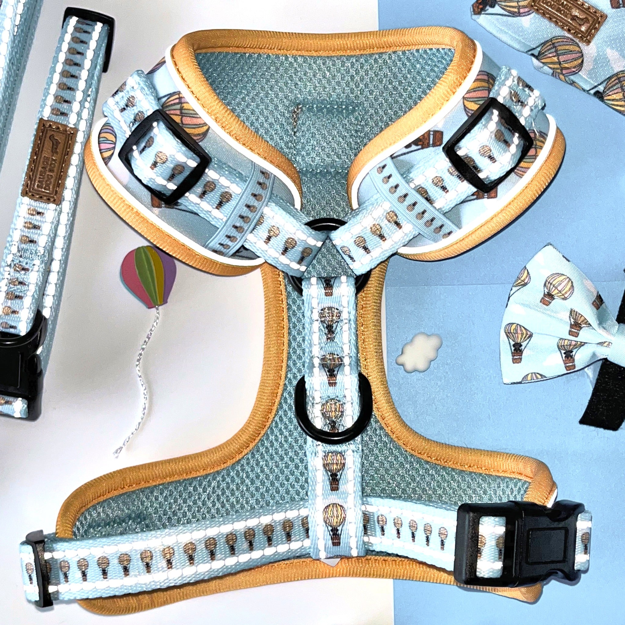 Anti-Rub Sausage Dog Harness - Up Up & Away
