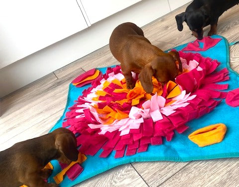 Sausage Dog Box Extra Large Foldable Snuffle Mat