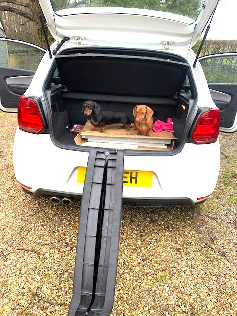 Sausage Dog Box, Dachshund Folding Car Ramp for Dachshund Sausage Dog