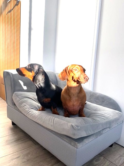 Sausage Dog Box, Dachshund Fern Chaise Longue  Sofa Bed With Storage