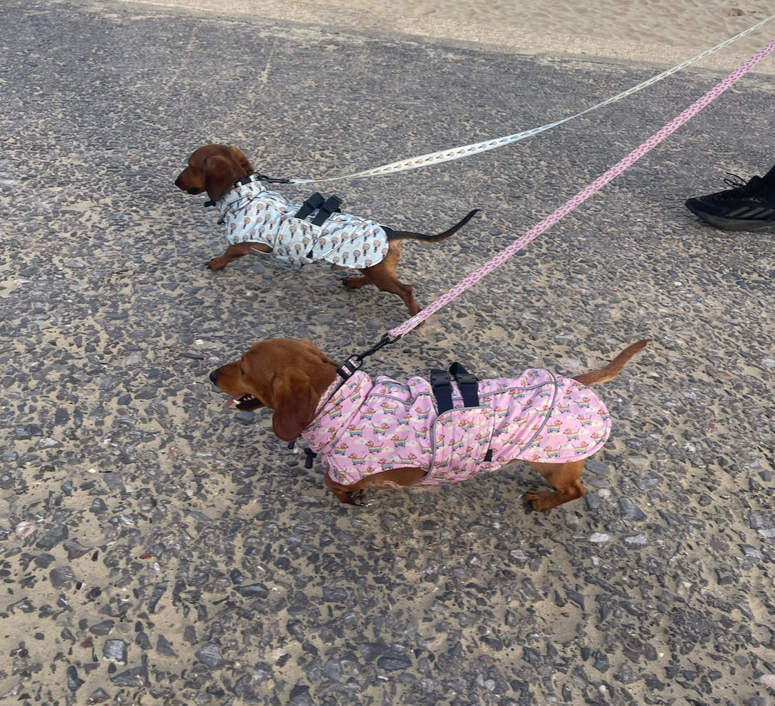 Chasing Rainbows Pink Polartec Fleece Waterproof Dachshund Coat Sausage Dog