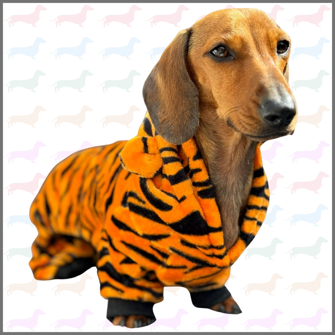 Dachshund Outfit - Tiger Cub