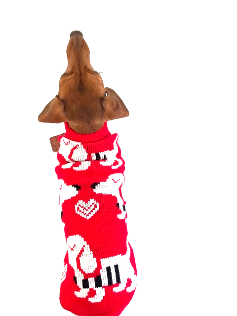 Sausage Dog Box Dachshund Red Dachshund Dog Jumper - Sausage Love