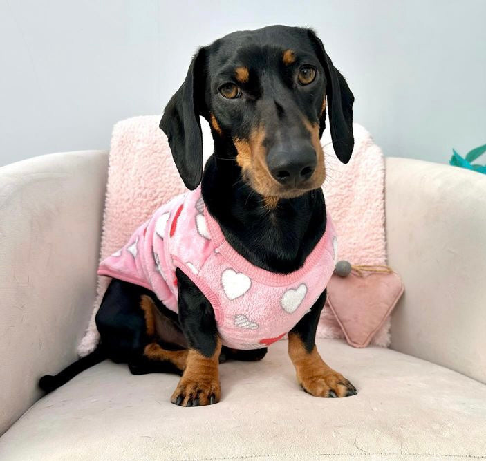 Pink Mini Love Hearts - Sausage Dog Box Dachshund PJ's/Jumper