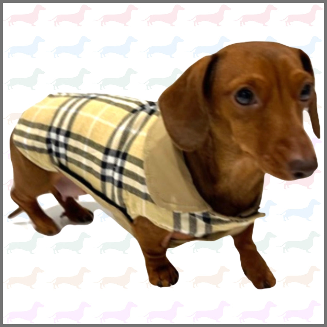 Sausage Dog Box Dachshund Reversible Plaid Coat Beige