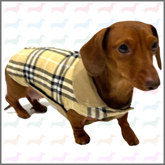 Sausage Dog Box Dachshund Reversible Plaid Coat Beige