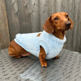 Load image into Gallery viewer, Cloud Blue Dachshund Snuggle Fleece - Soft Boys Jumper | Sausage Dog Box
