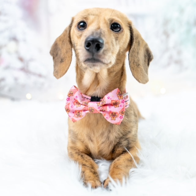 ‘Dashin’ Through The Dough’ Gingerbread Dachshund Christmas Bow Tie