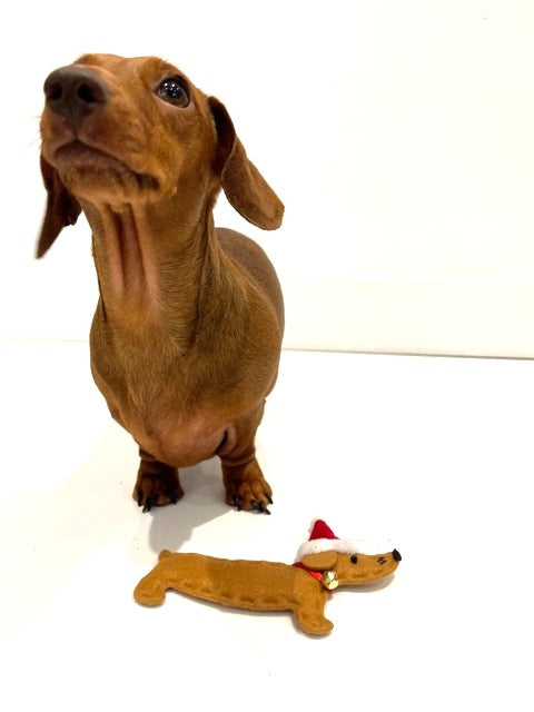 Sausage Dog Box Felt Dachshund Christmas Tree Decoration With Bell