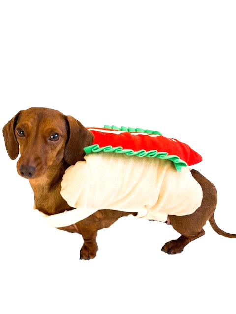 Sausage Dog Box Hot Dog Dress Up Outfit