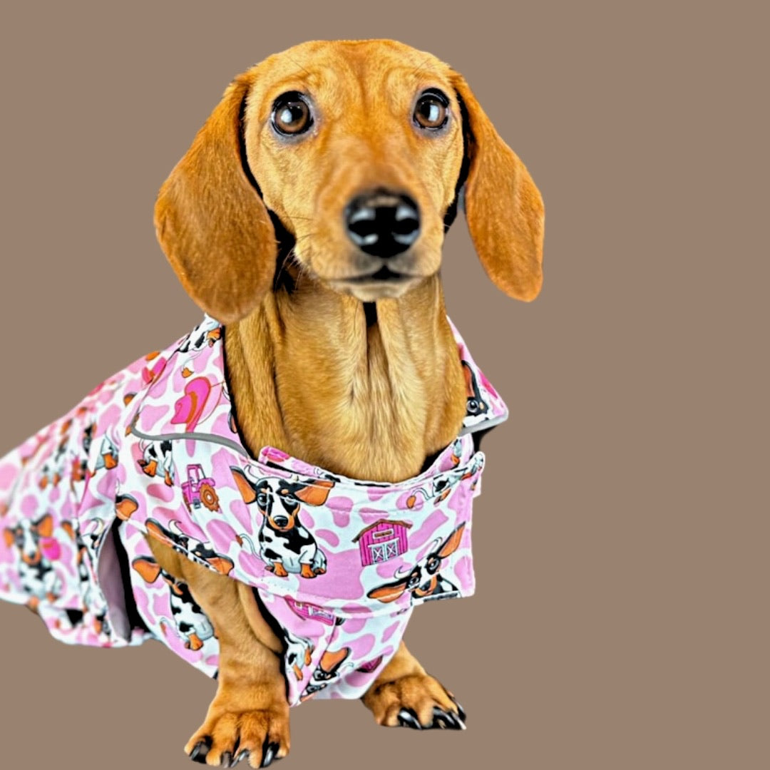 Howdy Cowgirl 'Dach-A-Mac' Dachshund Rain Mac In Bag