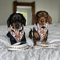 Load image into Gallery viewer, Bow Tie - Weiner On Wheels
