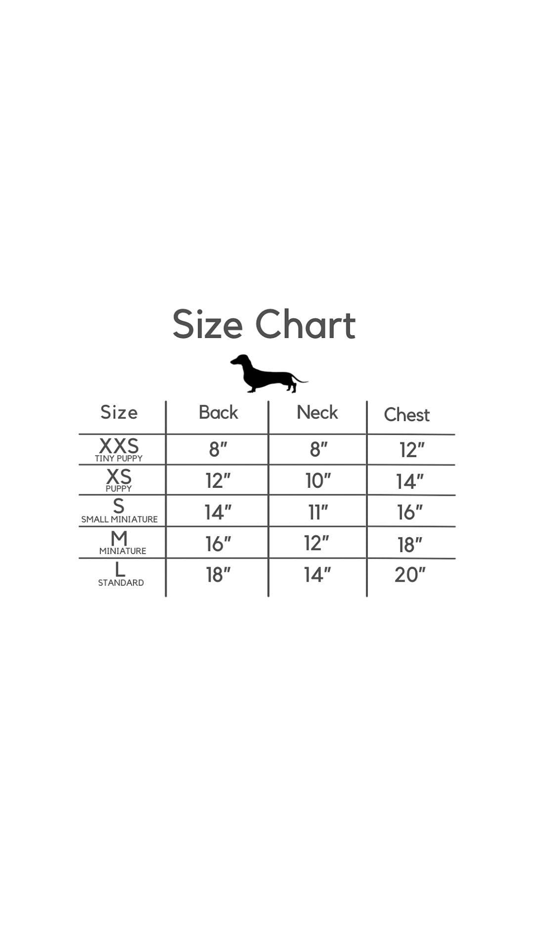 Sausage Dog Box Dachshund Flag Jumper