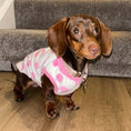 Load image into Gallery viewer, Pink Bunny Hop - Sausage Dog Box Dachshund PJ's/Jumper
