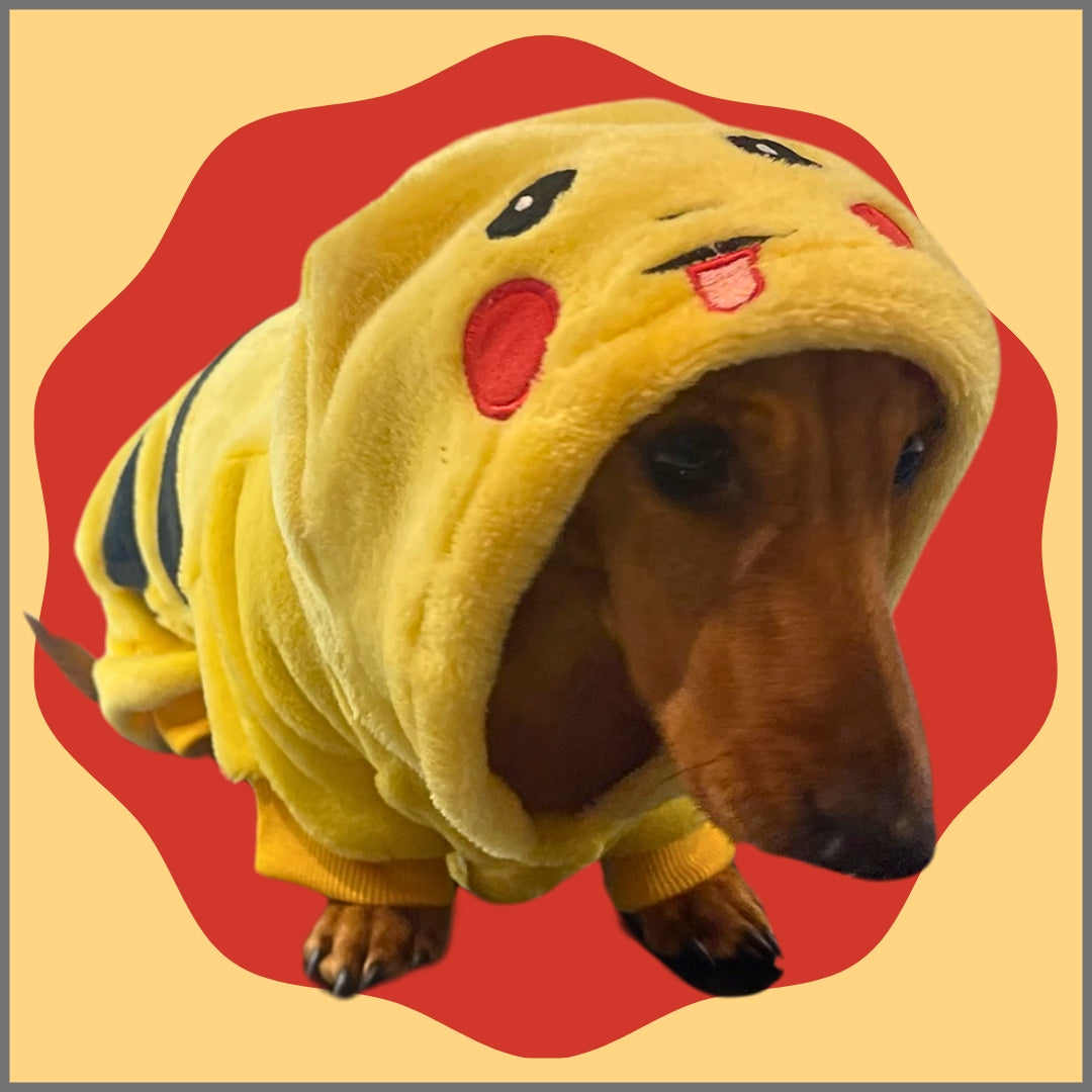 Sausage Dog Box Yellow Oneise Outfit/Costume