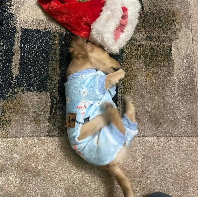 Snow Cute Dachshund Christmas PJ Onesie Outfit - Blue