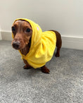 Load image into Gallery viewer, Sausage Dog Box Dachshund Duckie Towel
