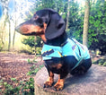 Load image into Gallery viewer, Sausage Dog Box Designer Fleece Waterproof 'Lightning Bolt' Coat
